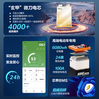  CHILWEE/超威电池 质保三年 电动车锂电池+10A充电器