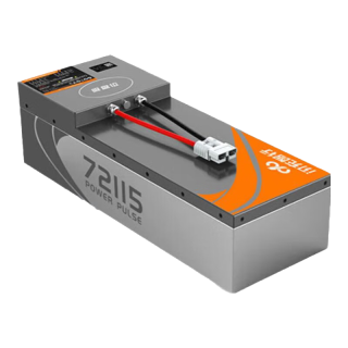 闪充智行 电动车锂电池+15A充电器