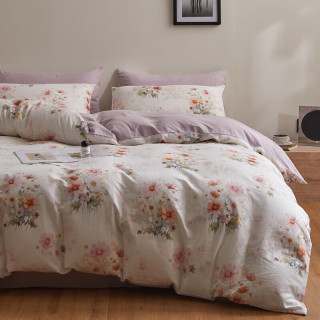 AIDLI A类100%全棉双层纱纯棉四件套 200*230cm