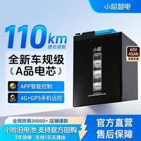 小哈 60V45AH+17a大炮充电器磷酸铁锂电池