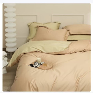 AIDLI 100支全棉贡缎新疆长绒棉双拼纯棉四件套 200*230cm