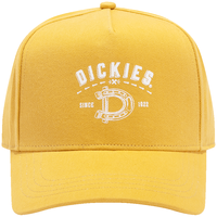  Dickies/帝客 棒球帽