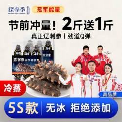 探参季 辽宁大连 即食海参 1斤 4-7只/斤
