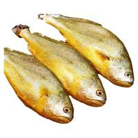  缤鲜 新鲜冷冻 黄花鱼
