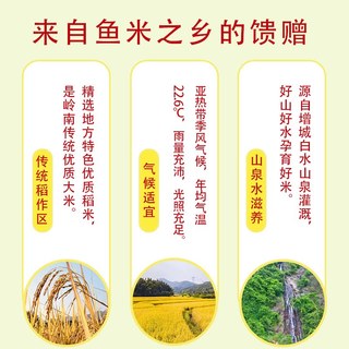 挂荔 长粒香软米 籼米