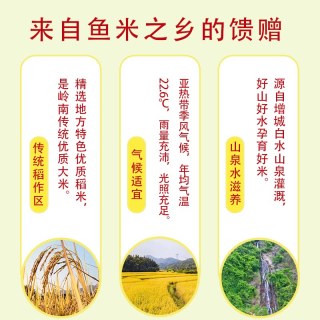  挂荔 长粒香软米 籼米