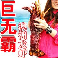 三座海 鲜活 澳洲龙虾