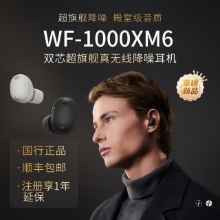 百亿补贴：索尼 WF-1000XM6双芯超旗舰真无线降噪耳机豆子6