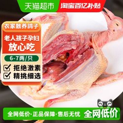 卖鱼郎先生 Mr. Maiyu 中国大陆 散养乳鸽 1000g/袋