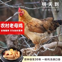 缘琳山 安徽 2年老母鸡 2.4斤 散装