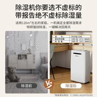 SINGFUN/先锋 负离子除菌 除湿机