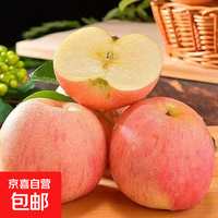 京喜加 红富士苹果今年新果 脆甜可口 新鲜采摘 产地直发 4个尝鲜装净重1斤单果65mm+