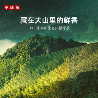 小罐茶 早春头拔芽叶 绿茶