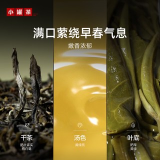  小罐茶 早春头拔芽叶 绿茶