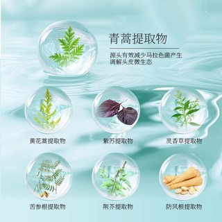  两面针 清新口气 牙膏