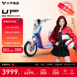 小牛电动 智能电瓶 电动自行车