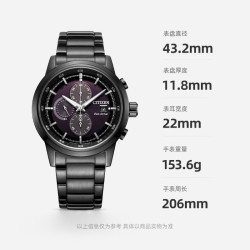 CITIZEN 光动能腕表系列 43.2毫米光动能腕表 CA0615-59E