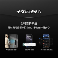 德施曼 人脸识别 智能门锁