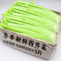 馋鲜园 山东寿光芹菜 5斤
