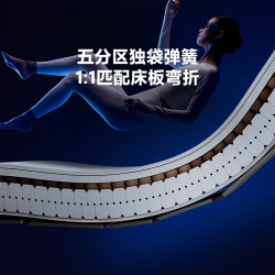 8H 五分区护脊 床垫