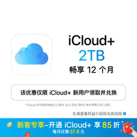 Apple iCloud+ 2TB 12个月权益包