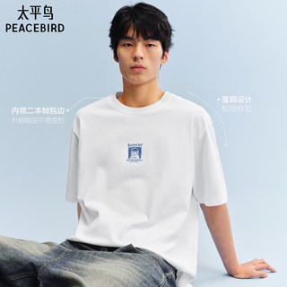  PEACEBIRD/太平鸟 联名刺绣 男士短袖T恤