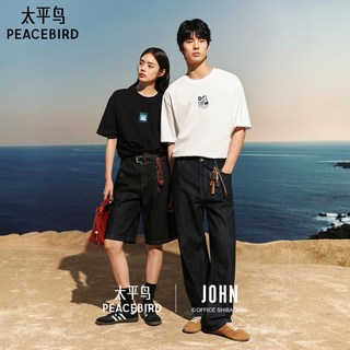  PEACEBIRD/太平鸟 联名刺绣 男士短袖T恤