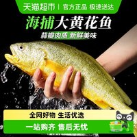 云储生活 无品牌 山东青岛 冷冻大黄鱼 450-500g/条 1条