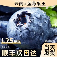 福瑞达 云南蓝莓 L25 2盒 中果