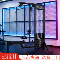宝孚 高低拉一体训练器高位下拉划船训练机坐姿拉背机健身器材