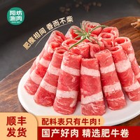 阳坊胜利 中国大陆肥牛卷 350g*2盒