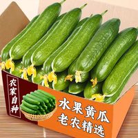 馋鲜园 山东省 水果黄瓜 1斤