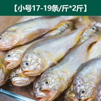 弹指鲜生 野生舟山小黄鱼新鲜冷冻黄花鱼烧烤夜宵鲜活水产批发5斤