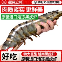 弹指鲜生 越南黑虎虾 16-18cm 400g 8-10只