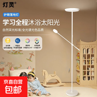 头简约灯具 高180cm无极调光52W