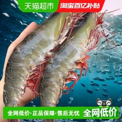 渔游记 大虾鲜活速冻桑塔原盒进口特大厄瓜多尔白虾盐冻海虾新鲜海鲜水产