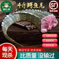 鳄鱼 暹罗鳄 广西柳州鳄鱼尾巴 4斤 带皮生鲜肉