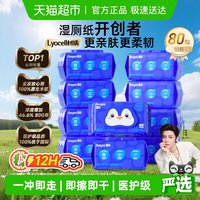 德佑 湿厕纸湿巾除菌湿手纸洁厕纸80抽10包家庭装