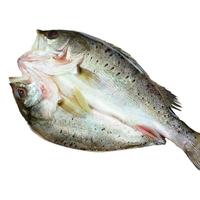  缤鲜 开背新鲜 海鲈鱼