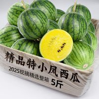 馋鲜园 云南特小凤黄心西瓜 3斤