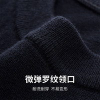 SEPTWOLVES/七匹狼 含羊绒 男士针织衫