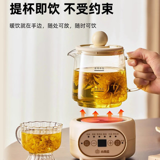  LITTLE PUMKIN/小南瓜 全玻璃内胆 玻璃养生壶 米白色-无滤网【全玻璃内胆】 0.5L