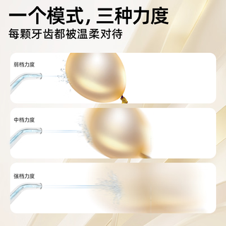  prooral/博皓 牙齿清洁 电动冲牙器