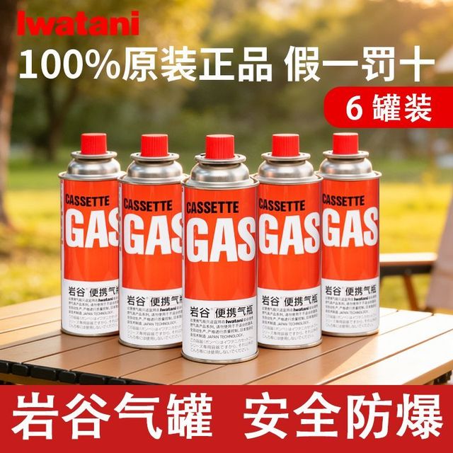 岩谷 户外便携卡式炉气罐 250g*6罐