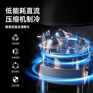  CHIGO/志高 压缩机制冷 车载冰箱