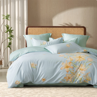 今日必买：百丽丝 100%全棉印花 床上四件套 （被套200*230cm）