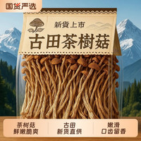 菇里巴巴 古田茶树菇 50g 茶树菇干货