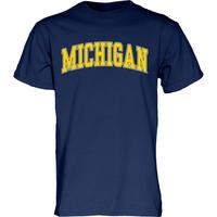 Blue 男式 Arching Team Color Michigan