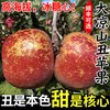  绿念 冰糖心 苹果