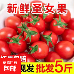 圣女果 净重4.7